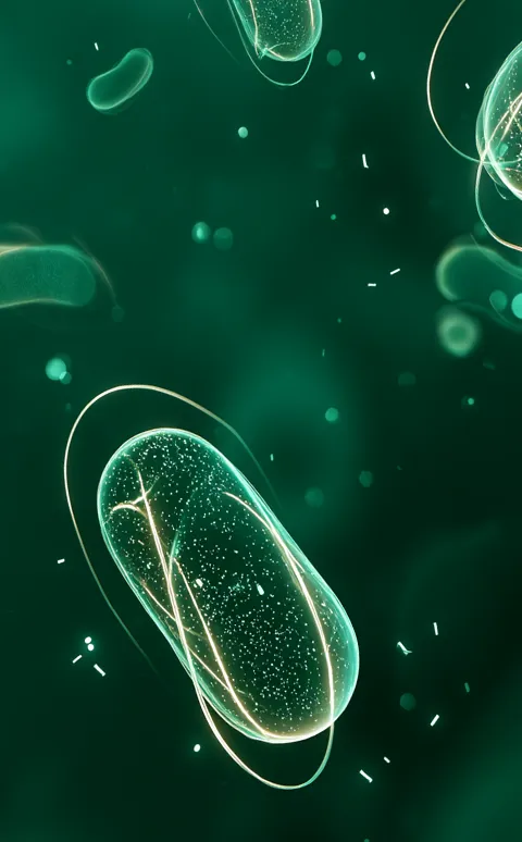 Microscopía