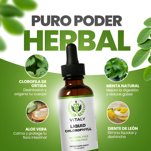 Gotas de Clorofila (50ML) - Desintoxicación Natural