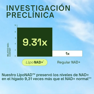 Suplemento Avanzado de NAD+ para el Antienvejecimiento con Resveratrol (60 Cápsulas)
